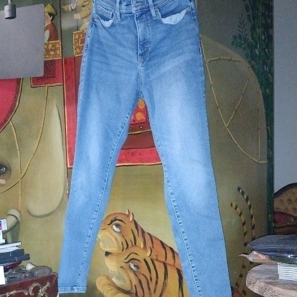 Classic Blue Banana Republic Jeans